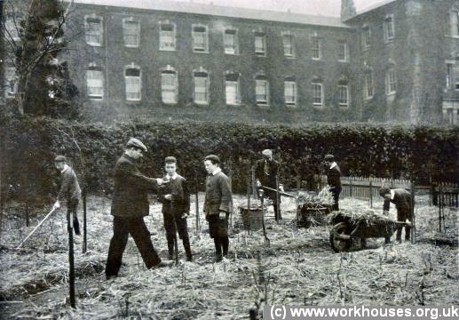 North Surrey District School - Gardening